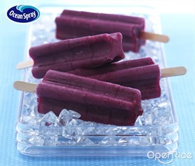 Ice Cream Blueberry Yogurt Pops Recipe 蓝莓冻优格雪棒食谱