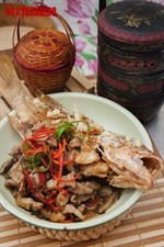 Deep Fried Garoupa Recipe 干烧石斑食谱