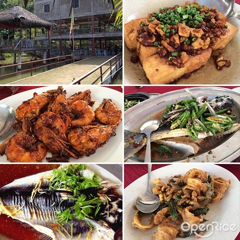 Valley Agro Park, Raub, Stir fried prawn,Steam Sultan Fish,Steamed chicken, bentong, raub, pahang