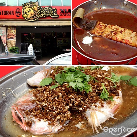 麻坡鱼头王, 蒲种, 美食, puchong, bandar puteri, muar, steamed fish, fish head hot pot