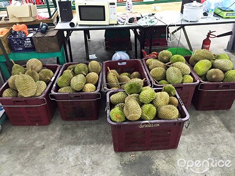 ss2, durian buffet, pj